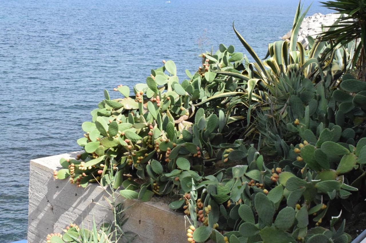 Casa Del Sole Βίλα Trappeto  Εξωτερικό φωτογραφία